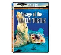Nature: Voyage of the Lonely Turtle [USA] [DVD]