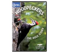 NATURE: Woodpeckers - The Hole Story [USA] [DVD]