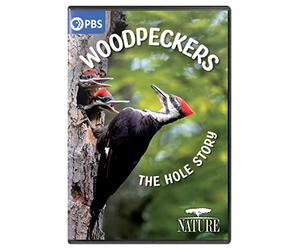 NATURE: Woodpeckers - The Hole Story [USA] [DVD]