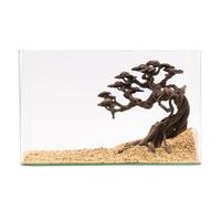 NatureHolic Stone Bonsai Kengai | Premium Scape para acuarios | Árbol bonsái mediano de piedra | Perfecto para musgo | Ideal para acuario 30-60 L | 24 x 25 x 10 cm