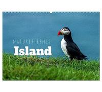 Naturerlebnis Island (Wandkalender 2026 DIN A2 quer), CALVENDO Monatskalender: Panoramen der Insel aus Feuer und Eis