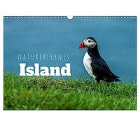 Naturerlebnis Island (Wandkalender 2026 DIN A3 quer), CALVENDO Monatskalender: Panoramen der Insel aus Feuer und Eis