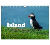 Naturerlebnis Island (Wandkalender 2026 DIN A4 quer), CALVENDO Monatskalender: Panoramen der Insel aus Feuer und Eis