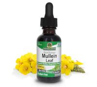 Natures Answer - Mullein Leaf - 30ml