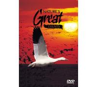 Nature's Great Events: Journeys [USA] [DVD]