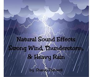 Natures Sound Effects Compilation CD of Strong Wind, Electric Thunderstorm and Torrential Rain. Ideal for Deep Relaxation, Therapy, Backgrounds, Tinnitus sufferers and White-noise by Compiled by Here To Listen Ltd (2015-08-03)