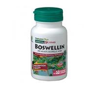 NaturesPlus Boswellin 300 mg 60 caps