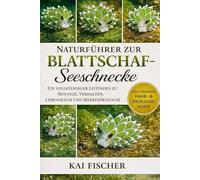 Naturführer zur Blattschaf-Seeschnecke: Ein vollständiger Leitfaden zu Biologie, Verhalten, Lebensraum und Meeresökologie