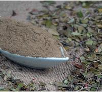 Naturix24 - Hojas de arándanos molidas (500 g)