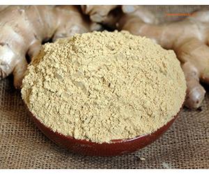 Naturix24 Polvo de jengibre (1 x 1 kg)