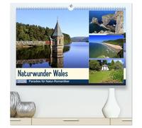 Naturwunder Wales (hochwertiger Premium Wandkalender 2026 DIN A2 quer), Kunstdruck in Hochglanz: Paradies für Natur-Romantiker