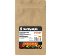 NATUSAT Cordyceps en Polvo - 100 g NATUSAT