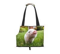 Naughty Pig Baby - Bolsa de hombro estampada para mascotas, ligera, transpirable, 26 x 34 cm, juego de viaje para mascotas de fin de semana