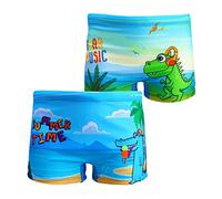 NautySaurs Paquete de 2 Bañadores Cortos niños de 1 a 10 años, Trajes de baño para niños pequeños Lindos Pantalones Cortos de Dinosaurio, Playa De Dinosaurios Y Música, 3-4 años