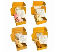 NAUXIU Mini conejito de peluche - Bonito regalo de Pascua 2025, conejo positivo en una caja, animal de peluche suave y flexible, apoyo emocional y regalo inspirador, perfecto para cestas y abrazos
