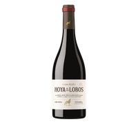 Gran Feudo Hoya de Los Lobos Crianza 2021