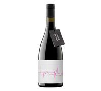 Navarra Punto de Fuga Corral del Mate 2019