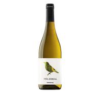 Navarra Viña Zorzal Chardonnay 2025