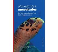 Navegantes ancestrales: Por que maravillarnos con las tortugas marinas