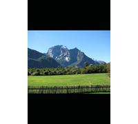 Navegantes en Soria Primera Parte: La Planta Trece