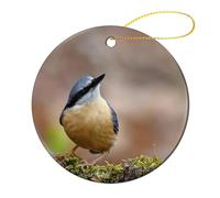 Navidad De Cerámicas 7.3CM, Plumas De Animales del Pájaro Trepador Azul Adorno De Cerámica Personalizado Colgantes De Navidad Estético Adornos Navideños para Niños Vacaciones Regalo