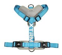 Nayeco 06949 Arnes x-TRM Cronos Neón Flash, Azul, 60-100 x 2.5 Cm