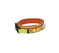 X-TRM Neon Flash Collar Limón para perros