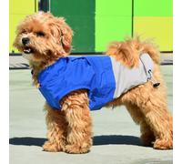 Nayeco X-TRM Chubasquero Azul y Gris para perros