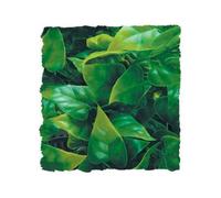 Zoo Med Mexican Phyllo Plastic Plant - S/36cm