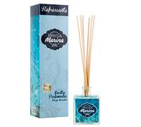 Naypes Ambientador Mikado 100 ml Brisa Marina 100 ml