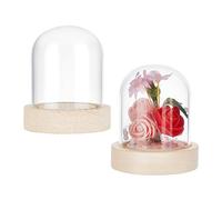 NBEADS 2 juegos de cúpula de cristal, vitrina transparente con base de madera maciza para decoración floral artesanal pantalla decoración doméstica, 6,15 cm de diámetro, 7,1 cm de altura
