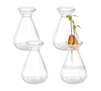 NBEADS 4 jarrones de inicio de semillas de aguacate, macetas de cultivo de aguacate de vidrio transparente para cultivar semillas de bellota, hierbas, bulbos, plantas de interior, amantes de la