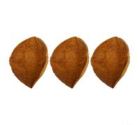 NbgrvB Paquete de 3 forros colgantes de fibra de coco natural, 8/10/12/14/16 pulgadas para flores y verduras de repuesto (12 pulgadas)