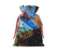 NBRIEU Bolsa de regalo con estampado de bandera de Puerto Rico, trae un cordón, bolsa de regalo reutilizable para fiestas, bodas