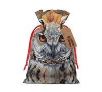 NBRIEU Owl Beliefs - Bolsa de regalo con estampado de búho, trae un cordón, bolsa de regalo reutilizable para fiestas y bodas