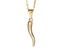 NBYGSC 925 Sterling Silver Protection Charm Italian Horn Necklace For Women Men, Talisman Necklace - Lucky Italian Horn Charm, Chili Pepper Necklace, Italian Pepper Necklace For