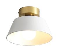 NBYGSC Base Metal Ceiling Lamp, Scandinavian Style Restaurant Semi Flush Mount Ceiling Lamp, Dining Room Ceiling Decoration Lighting Fixtures, For Entrance Hallway Study Room Chandelier