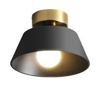 NBYGSC Base Metal Ceiling Lamp, Scandinavian Style Restaurant Semi Flush Mount Ceiling Lamp, Dining Room Ceiling Decoration Lighting Fixtures, For Entrance Hallway Study Room Chandelier