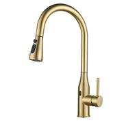 NBYGSC Brushed Gold Touchless Kitchen Sink Tap with Pull out Sprayer Single Handle Brass Faucet 2 Modes