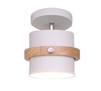NBYGSC Color Nordic Recessed Ceiling Lamp, Metal Lampshade, Corridor Swivel Lighting Fixture, Base Close To Ceiling Small Chandelier, For Living Room, Bedroom, Kitchen, Aisle Balcony