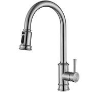 NBYGSC Faucet with Down Sprayer, 3-Function Pull out Faucet,Stainless Steel Hole Single Handle Kitchen Sink Taps,Brushed Shower Head
