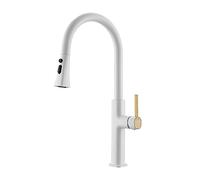 NBYGSC Kitchen Faucets Pull Down Sprayer, Bar Sink Faucet Hole, Single Handle with Magnetic Docking Spray Head (Chrome)