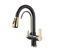 NBYGSC Matte with Pull out Spray 3 Function Water Filter Tap Stylish Sink Mixer Smart Kitchen Faucet (Type A Black Gold)