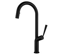 NBYGSC Pull-out ° Swivel Sink Faucet with Double Function Concealed Pull Down Spray Head Brass Single Handle Hot and Cold Kitchen Mixer Tap,Black