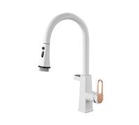 NBYGSC Shower Head Sprayer, Pull Down Faucets with Digital Temperature Display, 360 Degree Swivel Pot Filler, Faucet for Kitchen Sink
