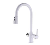 NBYGSC Shower Head Temperature Display, with Sprayer, Faucets, Pull Down Faucet for Kitchen Sink