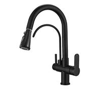 NBYGSC Way with Shower Extendable Brass Swiveling Drinking Kitchen Faucets Faucet for Water Filters - Black(Black)