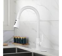 NBYGSC White Commercial Laundry Single Handle out with Pull Down Sprayer RV Stainless Steel Kitchen Faucets