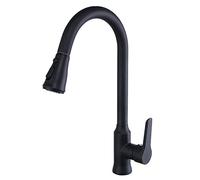 NBYGSC with Pull Down Sprayer Black,2 Types of Outlet Modes,Pull out Kitchen Hole Single Handle,Kitchen Sink Faucet Hot and Cold Water