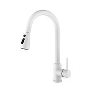NBYGSC with Pull out Spraye, High ARC Single Handle Sink Faucet Commercial Stainless Steel Kitchen Faucets for Farmhouse RV Utility Bar Laundry Sinks
